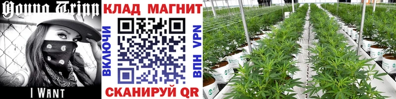 Магазин наркотиков Сим LSD-25 МЕФ мега ССЫЛКА СК ГАШ