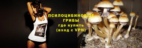 ECSTASY Алексин