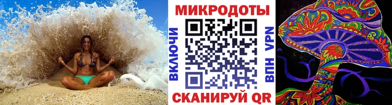 Псилоцибиновые грибы Psilocybine cubensis  Сим 